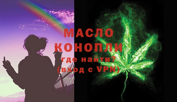 индика Богородицк