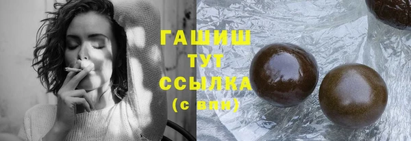 индика Богородицк