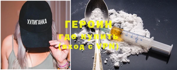 индика Богородицк