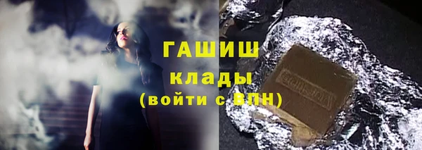 индика Богородицк