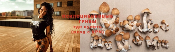 a pvp Богородск