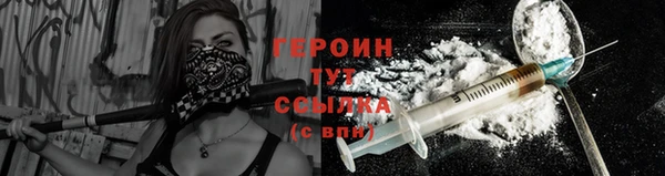 индика Богородицк