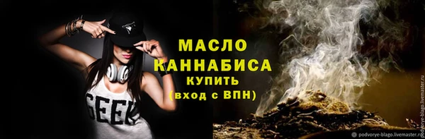 индика Богородицк