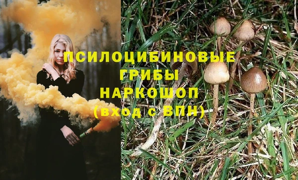 индика Богородицк