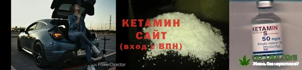 индика Богородицк