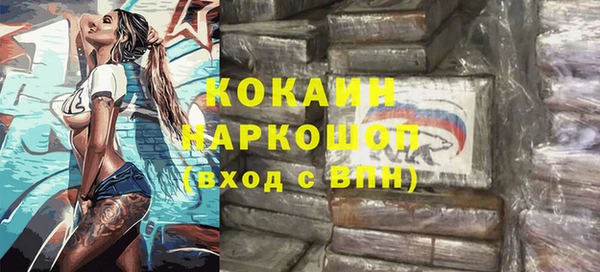 индика Богородицк