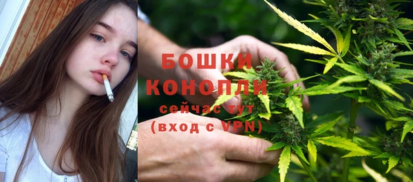 индика Богородицк