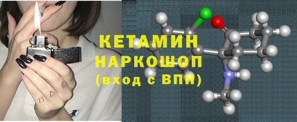 индика Богородицк