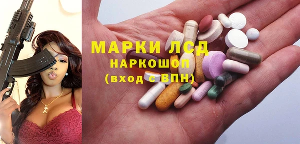 индика Богородицк