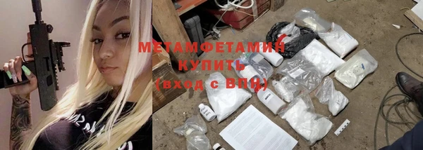 индика Богородицк