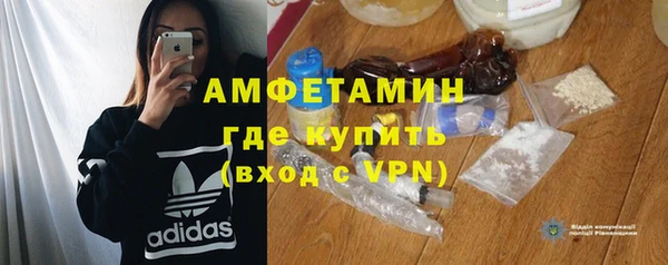 индика Богородицк