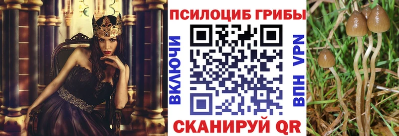 Псилоцибиновые грибы MAGIC MUSHROOMS  Торопец 